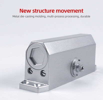 Max. Türgewicht 45-65kg Aluminiumlegierung Autoschleiftürschließer mit individueller Veredelung